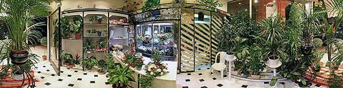 Магазин Доставка цветов 72.ру в Тюмени Магазин цветов в Тюмени