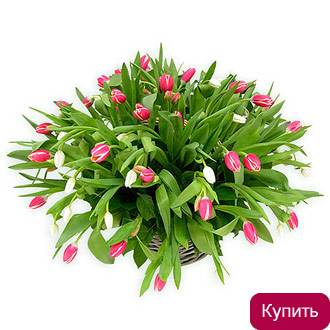 Корзинка тюльпанов