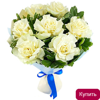 Букет белых французских роз с питоспорумом