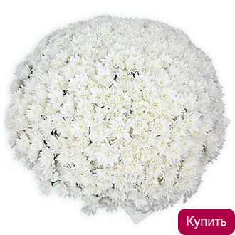 Букет из кустовых хризантем