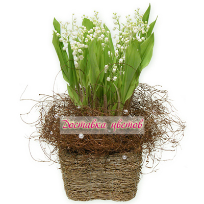 Композиция из ландышей