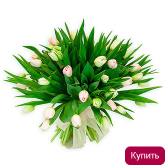 Букет из светлых тюльпанов