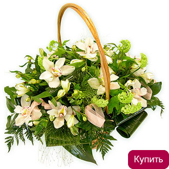 Корзина Комильфо