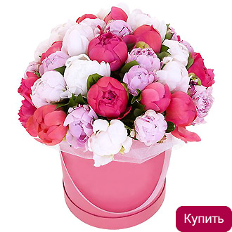 Пионы в шляпной коробке Моей музе