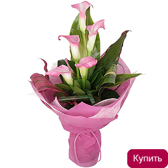 Розовые каллы в букете