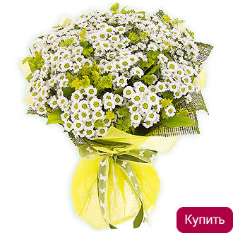 Хризантема ромашка в букете