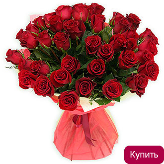 Букет эквадорские бордовые розы