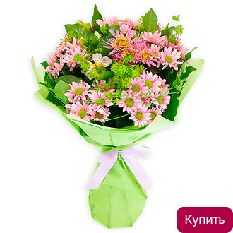 Букет из розовой хризантемы