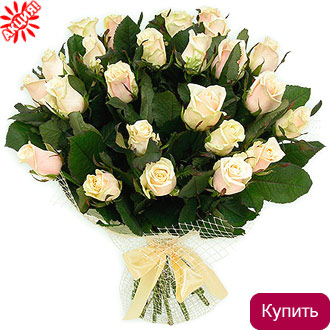 Букет 23 кремовые розы