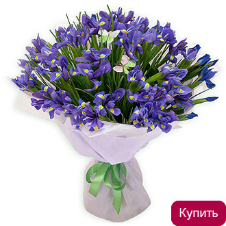Букет из ирисов