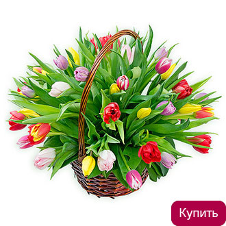 Корзина разноцветных тюльпанов