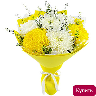 Белые и желтые хризантемы в букете