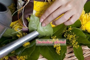Полив цветов